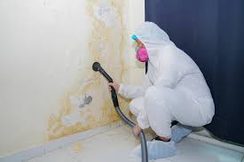 Mold Odor Removal Services in Fort Walton Beach, FL